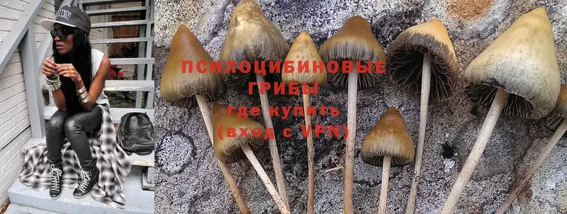 Псилоцибиновые грибы MAGIC MUSHROOMS  blacksprut tor  Ангарск 